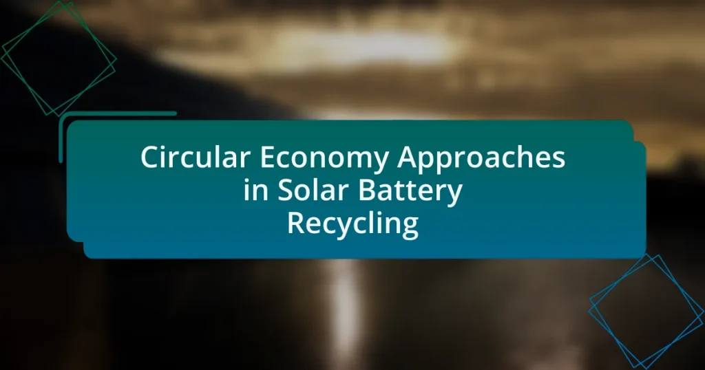 Circular Economy Approaches in Solar Battery Recycling