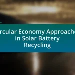 Circular Economy Approaches in Solar Battery Recycling