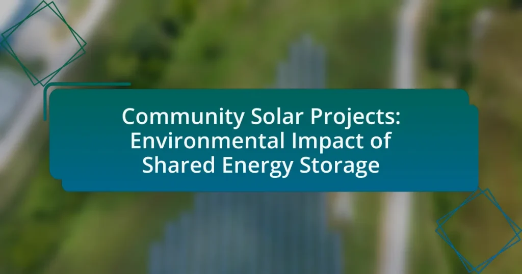 Community Solar Projects: Environmental Impact of Shared Energy Storage