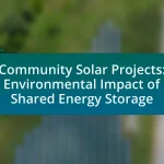Community Solar Projects: Environmental Impact of Shared Energy Storage