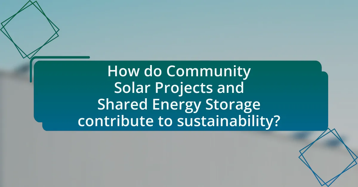 How do Community Solar Projects and Shared Energy Storage contribute to sustainability?