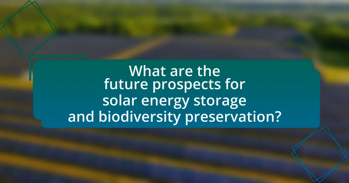 What are the future prospects for solar energy storage and biodiversity preservation?