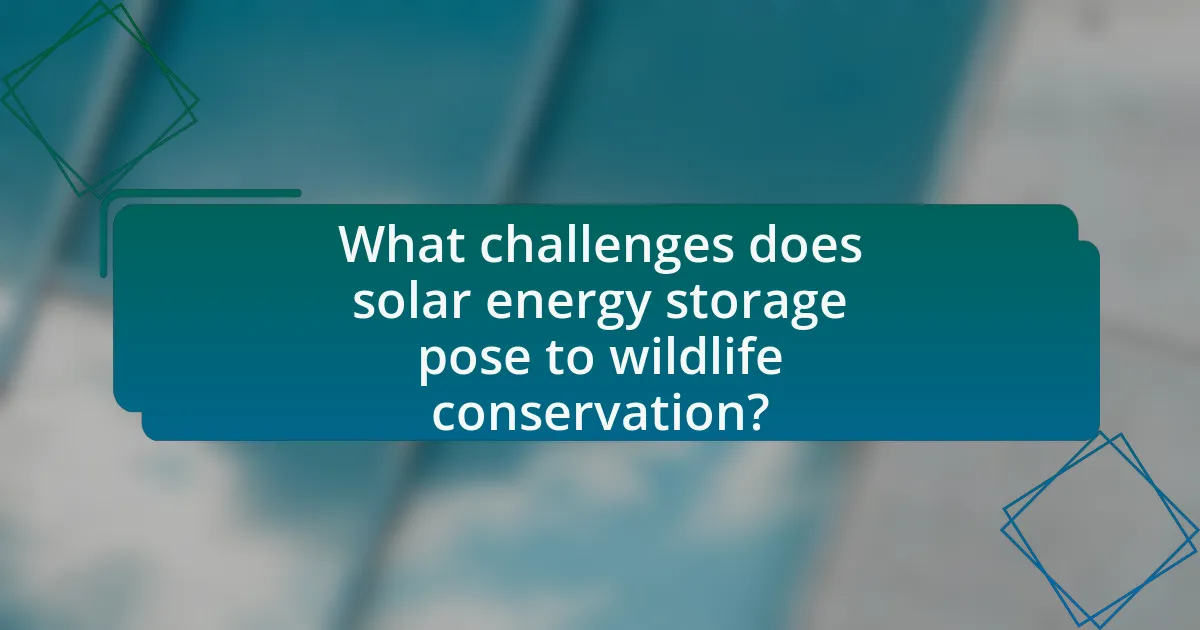 What challenges does solar energy storage pose to wildlife conservation?
