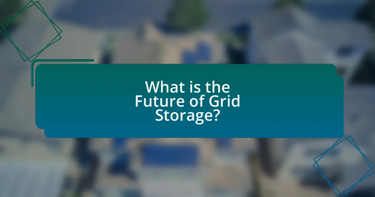 What is the Future of Grid Storage?